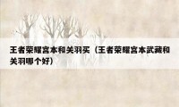 王者荣耀宫本和关羽买（王者荣耀宫本武藏和关羽哪个好）