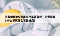 王者荣耀300金币买什么装备好（王者荣耀300金币买什么装备好点）