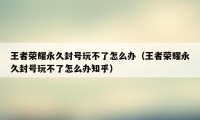 王者荣耀永久封号玩不了怎么办（王者荣耀永久封号玩不了怎么办知乎）