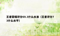 王者荣耀评分69.3什么水准（王者评分73什么水平）