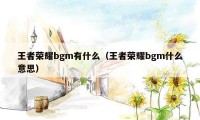 王者荣耀bgm有什么（王者荣耀bgm什么意思）